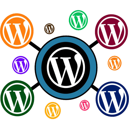 WordPress and CSS Developer